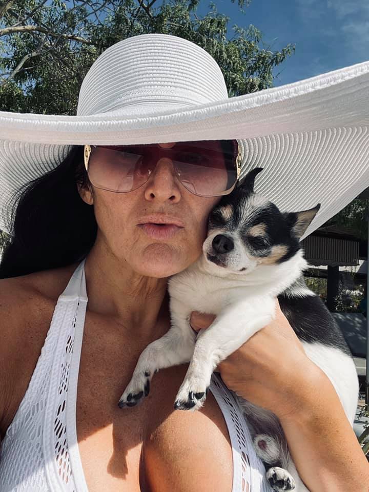 May 21, 2009-June 1, 2021 RIP Nacho, the Best Chihuahua Ever